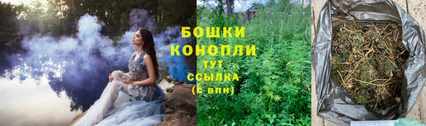 ECSTASY Няндома