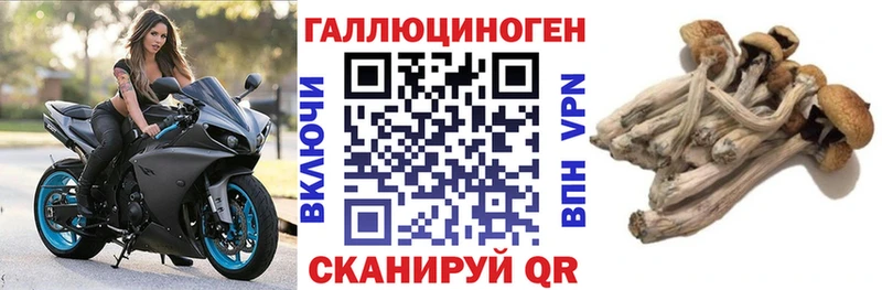 продажа наркотиков  Канск  Псилоцибиновые грибы Cubensis 